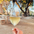 The Ultimate Guide to Choosing the Perfect Wine